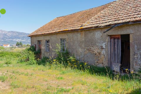 Farm i Covilha, Castelo Branco, Covilha - € 99.500 | Ref: C9713 - foto 10