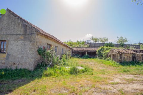 Farm i Covilha, Castelo Branco, Covilha - € 99.500 | Ref: C9713 - foto 11