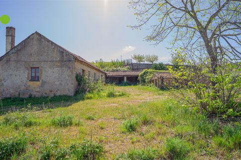 Farm i Covilha, Castelo Branco, Covilha - € 99.500 | Ref: C9713 - foto 12