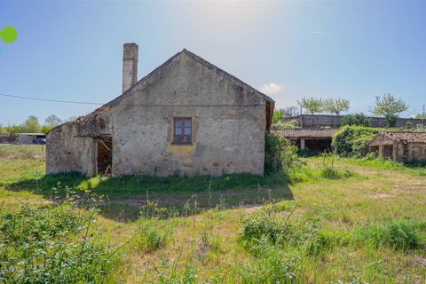 Farm i Covilha, Castelo Branco, Covilha - € 99.500 | Ref: C9713 - foto 13