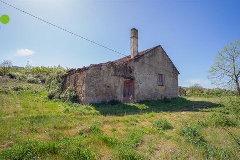 Farm i Covilha, Castelo Branco, Covilha - € 99.500 | Ref: C9713 - foto 14