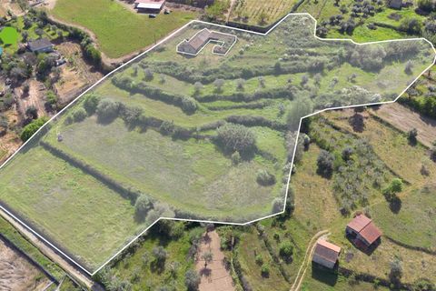 Farm i Covilha, Castelo Branco, Covilha - € 99.500 | Ref: C9713 - foto 2