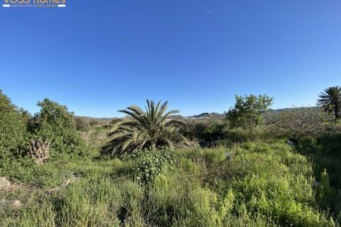 Landejendom i Huercal-Overa, Almeria, Huercal-Overa - € 180.000 | Ref: VH2722 - foto 35