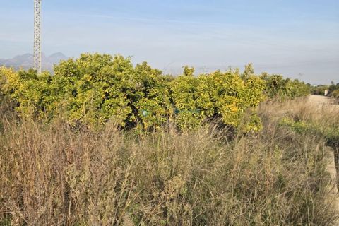 Grundstück in Rafelcofer, Valencia, Rafelcofer - € 8.500 | Ref: PNPT288 - Foto 5