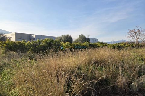 Grundstück in Rafelcofer, Valencia, Rafelcofer - € 8.500 | Ref: PNPT288 - Foto 4