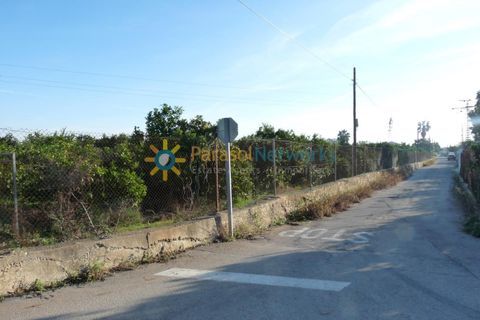 Helårsgrund i Oliva, Valencia, Oliva - € 120.000 | Ref: PNPT227 - foto 9