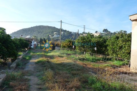 Helårsgrund i Oliva, Valencia, Oliva - € 120.000 | Ref: PNPT227 - foto 3
