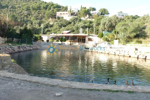 Helårsgrund i Oliva, Valencia, Oliva - € 120.000 | Ref: PNPT227 - foto 11