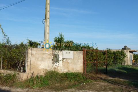 Helårsgrund i Oliva, Valencia, Oliva - € 120.000 | Ref: PNPT227 - foto 7