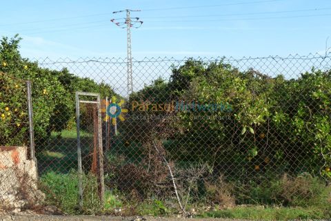 Helårsgrund i Oliva, Valencia, Oliva - € 120.000 | Ref: PNPT227 - foto 2