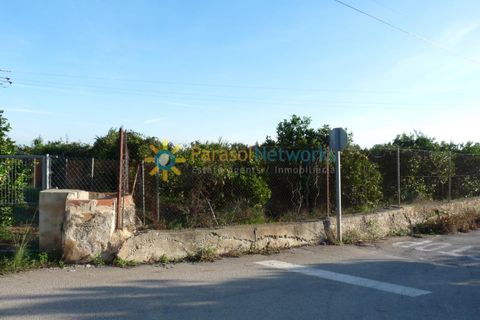 Helårsgrund i Oliva, Valencia, Oliva - € 120.000 | Ref: PNPT227 - foto 13