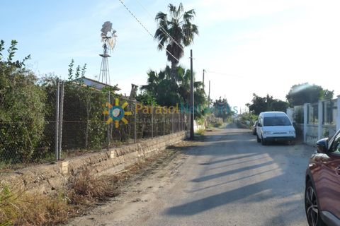 Helårsgrund i Oliva, Valencia, Oliva - € 120.000 | Ref: PNPT227 - foto 6