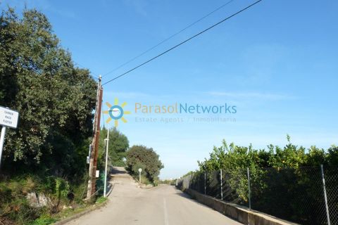 Helårsgrund i Oliva, Valencia, Oliva - € 120.000 | Ref: PNPT227 - foto 15