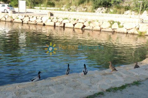 Helårsgrund i Oliva, Valencia, Oliva - € 120.000 | Ref: PNPT227 - foto 12