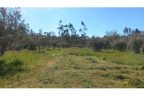 Helårsgrund i Ourem, Santarem, Ourem - € 65.000 | Ref: CV11012-22 - foto 2