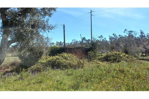 Helårsgrund i Ourem, Santarem, Ourem - € 65.000 | Ref: CV11012-22 - foto 3