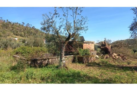Helårsgrund i Ourem, Santarem, Ourem - € 65.000 | Ref: CV11012-22 - foto 5