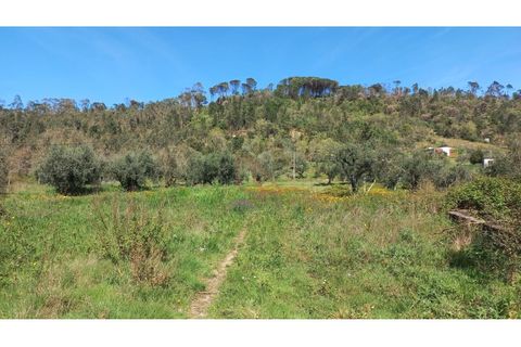 Helårsgrund i Ourem, Santarem, Ourem - € 65.000 | Ref: CV11012-22 - foto 6