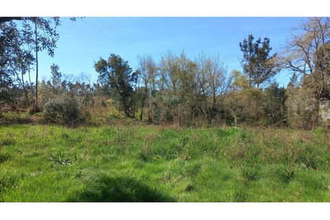Helårsgrund i Ourem, Santarem, Ourem - € 65.000 | Ref: CV11012-22 - foto 7