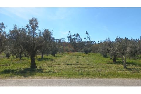 Helårsgrund i Ourem, Santarem, Ourem - € 65.000 | Ref: CV11012-22 - foto 10