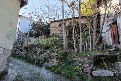 Landsbyhus i Carregal do Sal, Viseu, Carregal do Sal - € 55.000 | Ref: 389260050 - foto 9