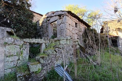 Landsbyhus i Carregal do Sal, Viseu, Carregal do Sal - € 55.000 | Ref: 389260050 - foto 10