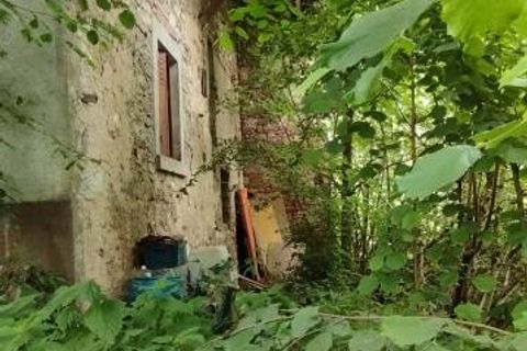 Villa i Secenans, Haute-Saone, Secenans - € 21.000 | Ref: 2964 - foto 3