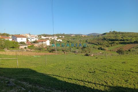 Terra a Batalha, Leiria, Batalha - € 45.000 | Ref: ANG1567 - foto 2