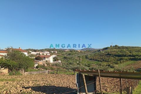 Terra a Batalha, Leiria, Batalha - € 45.000 | Ref: ANG1567 - foto 3