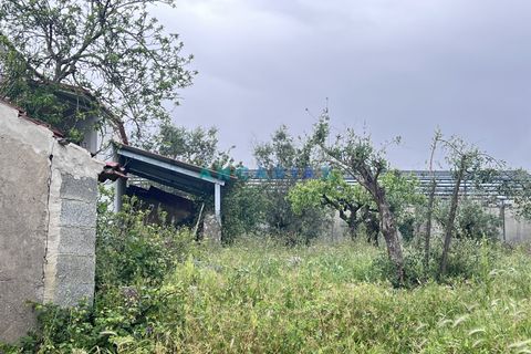 Landejendom i Ourem, Santarem, Ourem - € 40.000 | Ref: ANG1574 - foto 7
