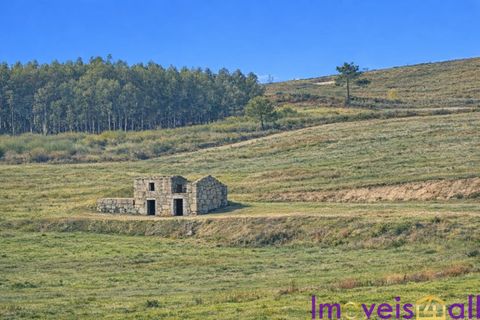 Landejendom i Baiao, Porto, Baiao - € 595.000 | Ref: 2026-3 /AL-GB - foto 1