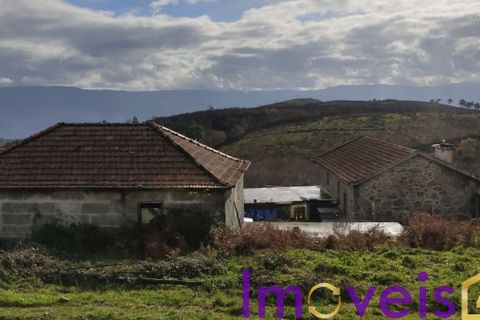 Landejendom i Baiao, Porto, Baiao - € 595.000 | Ref: 2026-3 /AL-GB - foto 7