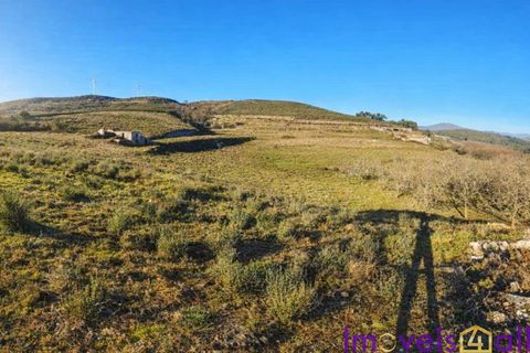 Landejendom i Baiao, Porto, Baiao - € 595.000 | Ref: 2026-3 /AL-GB - foto 19