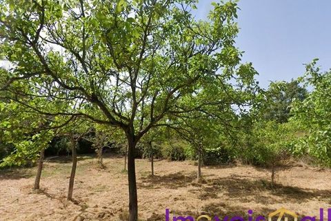 Landejendom i Baiao, Porto, Baiao - € 595.000 | Ref: 2026-3 /AL-GB - foto 23