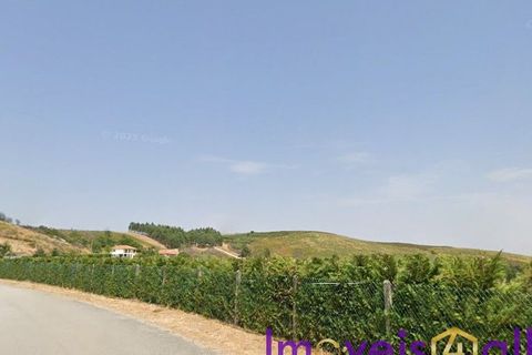 Landejendom i Baiao, Porto, Baiao - € 595.000 | Ref: 2026-3 /AL-GB - foto 26