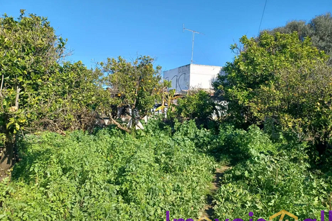 Landejendom i Faro, Faro, Faro - € 266.000 | Ref: SV 0826 - foto 8