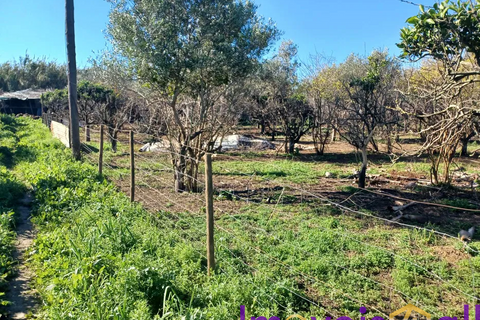 Landejendom i Faro, Faro, Faro - € 266.000 | Ref: SV 0826 - foto 10