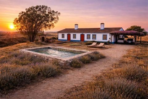 Farm hus i Sao Teotonio, Beja, Sao Teotonio - € 3.000.000 | Ref: HOME581799 - foto 3