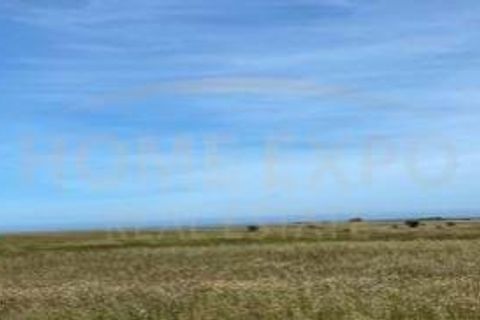 Farm hus i Sao Teotonio, Beja, Sao Teotonio - € 3.000.000 | Ref: HOME581799 - foto 5