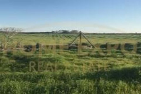 Farm hus i Sao Teotonio, Beja, Sao Teotonio - € 3.000.000 | Ref: HOME581799 - foto 10