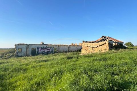 Farm hus i Sao Teotonio, Beja, Sao Teotonio - € 3.000.000 | Ref: HOME581799 - foto 11