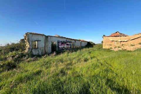 Farm hus i Sao Teotonio, Beja, Sao Teotonio - € 3.000.000 | Ref: HOME581799 - foto 12