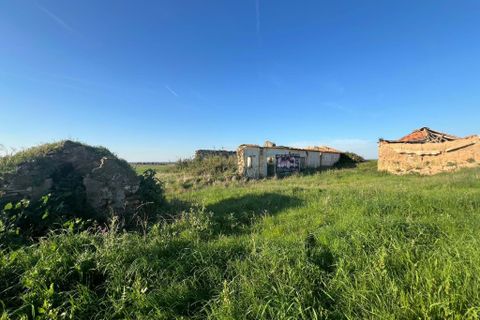 Farm hus i Sao Teotonio, Beja, Sao Teotonio - € 3.000.000 | Ref: HOME581799 - foto 13