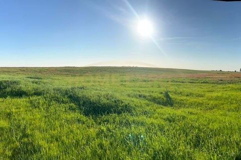 Farm hus i Sao Teotonio, Beja, Sao Teotonio - € 3.000.000 | Ref: HOME581799 - foto 14