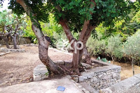 Villa i Modica, Ragusa, Modica - € 135.000 | Ref: exp-011547 - foto 10