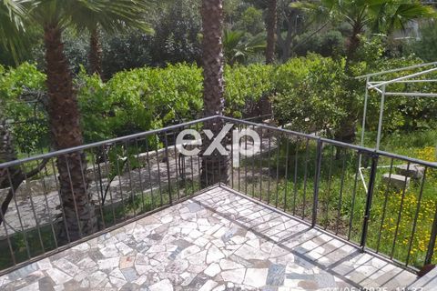 Villa i Modica, Ragusa, Modica - € 135.000 | Ref: exp-011547 - foto 13
