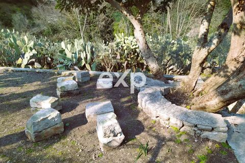 Villa i Modica, Ragusa, Modica - € 135.000 | Ref: exp-011547 - foto 17