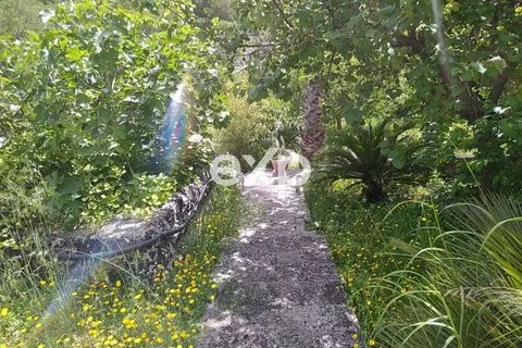 Villa i Modica, Ragusa, Modica - € 135.000 | Ref: exp-011547 - foto 20