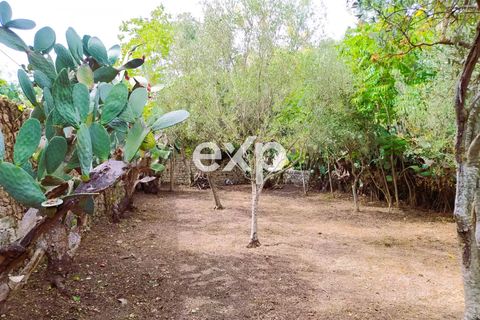 Villa i Modica, Ragusa, Modica - € 135.000 | Ref: exp-011547 - foto 21
