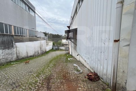 L'establiment comercial a Trofa, Porto, Trofa - € 11.100/mes | Ref: ARM_433 (3) - foto 6